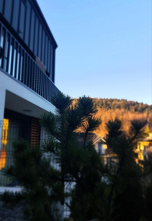 Apartament "Oldmountain" Olimpijska 1C 1 Szczyrk Eksteriør billede